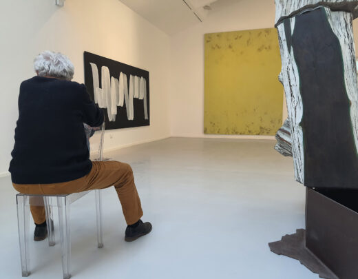 La collection d&#8217;art contemporain vue par Alain Clément