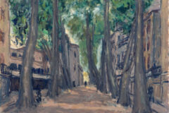 Les platanes