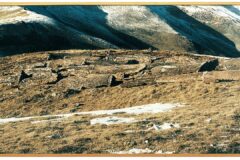 Terra de Suro